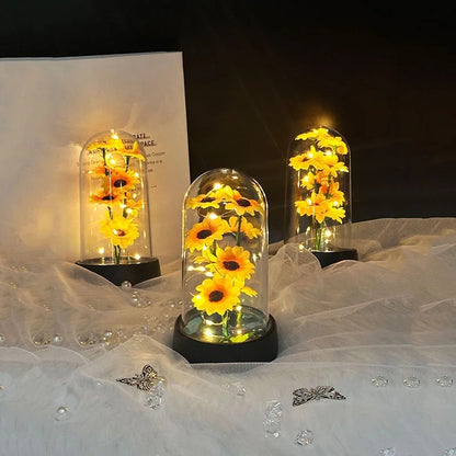 Sun Flower Dome Gift Light