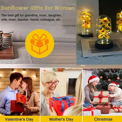 Sun Flower Dome Gift Light